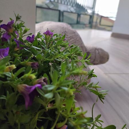 Attico Gloria & Greta Apartment Castellammare del Golfo Ngoại thất bức ảnh