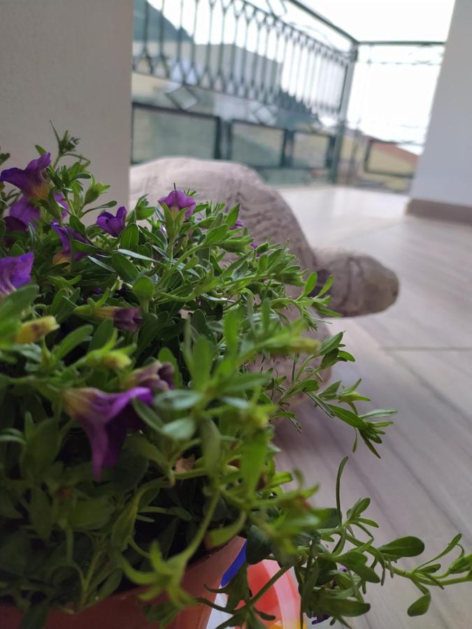 Attico Gloria & Greta Apartment Castellammare del Golfo Ngoại thất bức ảnh